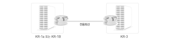 데이터를 지리적으로 떨어진 다른 존(Zone)으로 기 구축된 별도의 사설 전용회선을 통해 이차 백업 보관합니다.